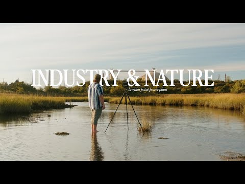 Видео: Промышленность и природа | Ландшафт в процессе восстановления