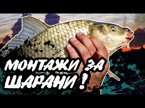 Видео: МОНТАЖИ за ШАРАНИ на фидер и мач край Безден