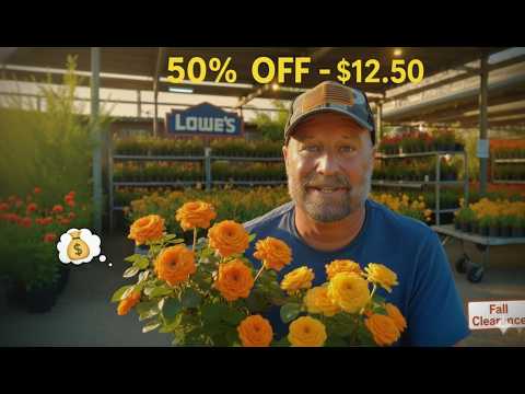 Видео: В садовом центре Lowe’s скидка на все — 50%!