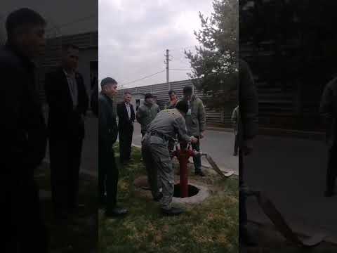 Видео: 28 октября 2025 г.