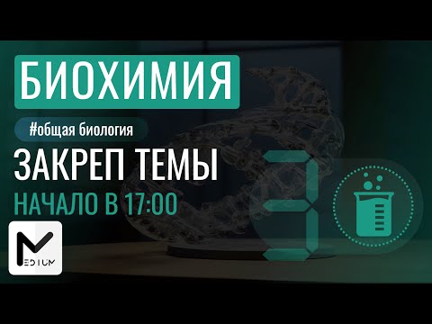 Видео: Практика по биохимии / ЕГЭ по биологии / MEDIUM