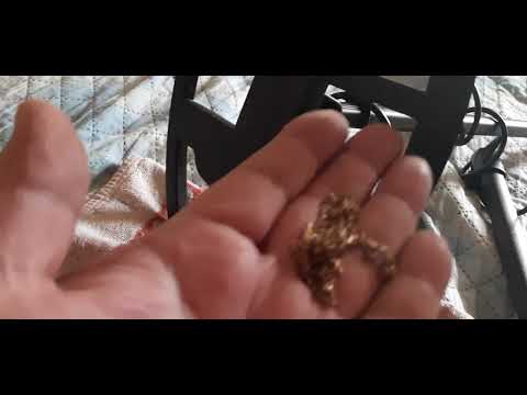 Видео: Не видит золото на программе пляж,  металлоискатель nokta double score