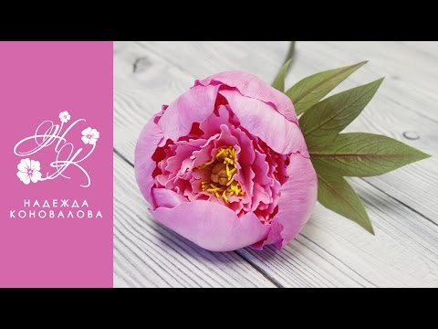 Видео: Пион из зефирного фоамирана легко и быстро