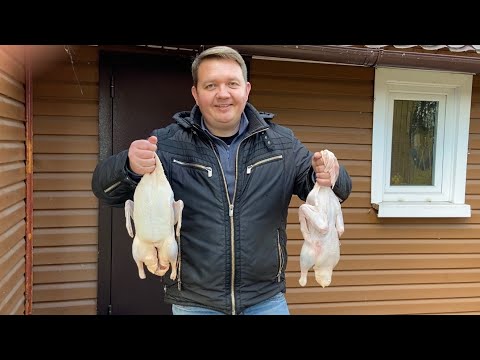 Видео: Утка в казане   #уткавказане #казанМангал #готовимДома