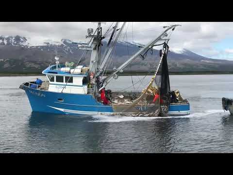 Видео: **Лов рыбы на Аляске траловый и кошельковый**