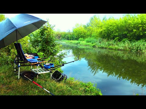 Видео: Риболовля у липні 2024 на р. Горинь. Нічна гроза та кльов ляща