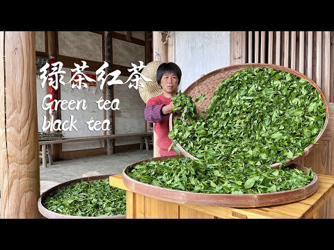 Видео: Бабушка заваривает зеленый и черный чай старинным способом, свежим и элегантным.