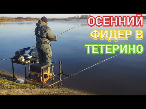Видео: ОСЕННИЙ ФИДЕР НА ВОДОХРАНИЛИЩЕ! КРУТЫЕ ПОКЛЕВКИ ПОДЛЕЩИКА В ТЕТЕРИНО! КАК НАЛОВИТЬ В БЕСКЛЕВЬЕ.