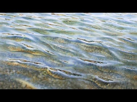 Видео: Эгле Липейкайте: художник, что рисует воду. Интервью в студии Enterclass