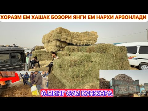 Видео: ХОРАЗМ УРГАНЧ ГАЙБУ ЕМ ХАШАК БОЗОРИ ЯНГИ ЕМ НАРХИ АРЗОНЛАДИ 3-ноябрь 2025 г.