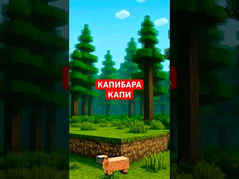 Видео: Капибара Капи #юмор #рекомендации #приколы