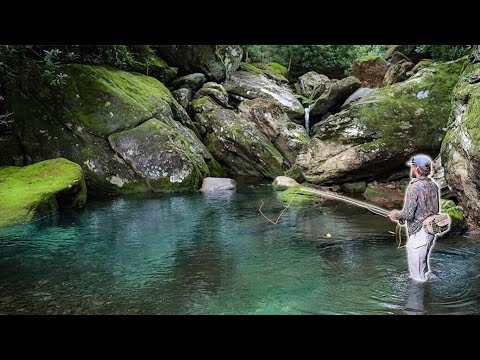 Видео: 24 часа в Wild Trout HEAVEN (рыбалка нахлыстом в Северной Каролине)