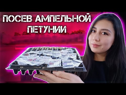 Видео: посев АМПЕЛЬНОЙ ПЕТУНИИ. выращивание петунии из семян.