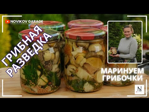 Видео: Грибная разведка - маринуем грибы