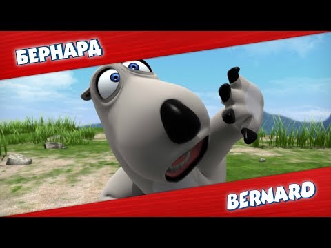 Видео: БЕРНАРД: День на природе 2 и многое другое | Подборка серий