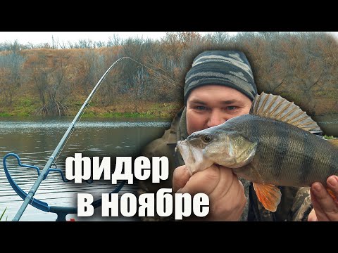 Видео: Что Клюет в Ноябре? Рыбалка на фидер поздней осенью 2025.  В шоке от улова🎣