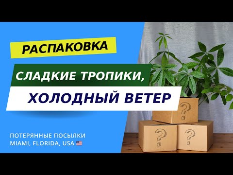 Видео: Распаковка потерянных посылок в США - любопытные и выгодные находки для дома!