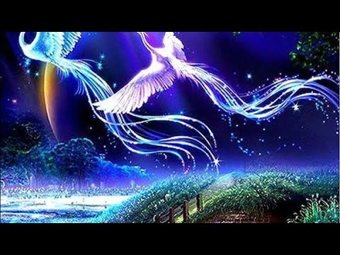 Видео: В чем Ваша Сила👆🏻