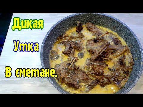 Видео: Дикая утка в Деревенской сметане | Готовить ВСЕМ #!!!#