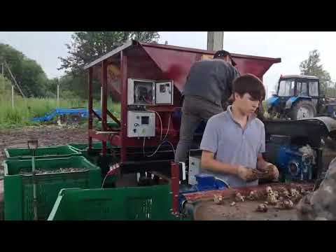 Видео: Оборудование для чеснока ТМЗ РЕСУРС. Equipment for garlic TMZ RESOURCE.  https://tmzresurs.ru/