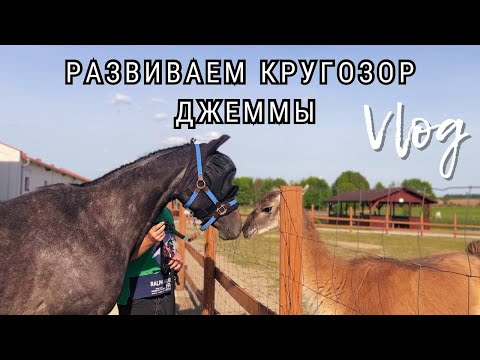 Видео: Развиваем кругозор Джеммы