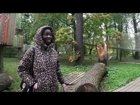 Видео: КРЫЛАТЫЙ МИНИ ЗООПАРК / ГИБРИД ПЕТУХА СОБАЧКИ