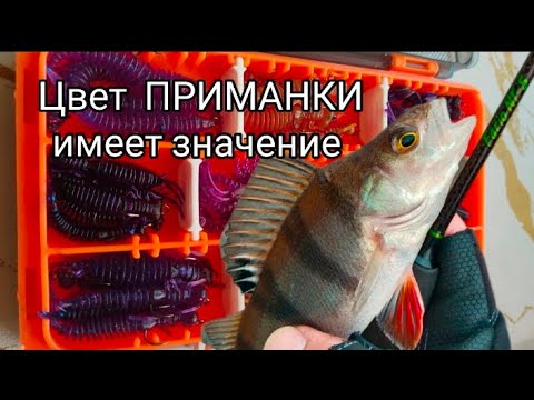 Видео: БЕШЕННЫЙ КЛЁВ | на УЛЬТРАЛАЙТ | перед НЕРЕСТОВЫМ ЗАПРЕТОМ |