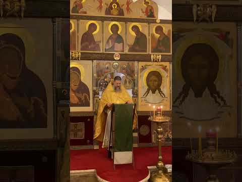 Видео: Нищий у ворот