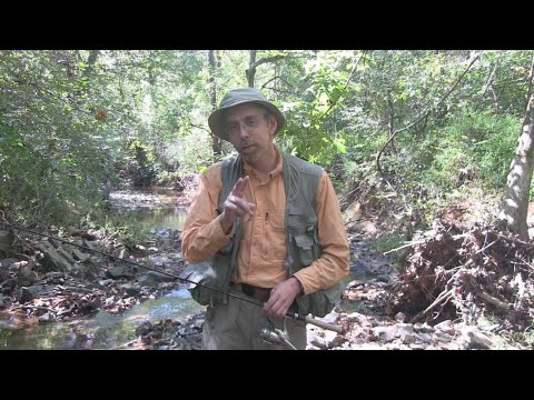 Видео: Часть 2: Как ловить рыбу нахлыстом спиннингом — запутывание лески, хранение мушек