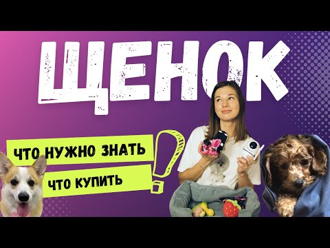 Видео: Появился щенок, что делать, как ухаживать