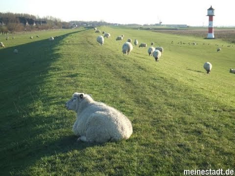 Видео: Беру вас с собой к фермерам нашей земли!
