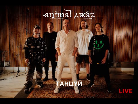 Видео: Animal ДжаZ — Танцуй (Live, 2024)