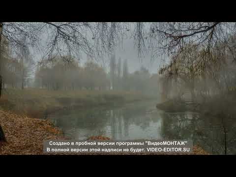 Видео: Яблоня в саду отяжелела А.Я.Розенбаум кавер