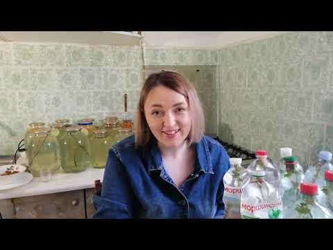 Видео: *ШАМПАНСКОЕ* из березового сока| взорвало интернет|натурального брожения без химии, надо взять...