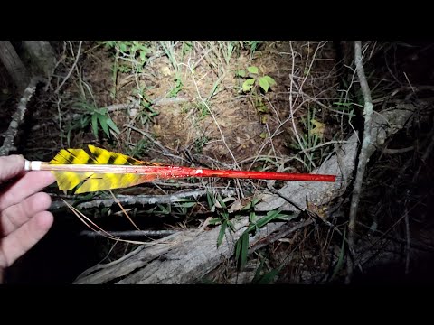 Видео: #5 Утешительный приз Лань