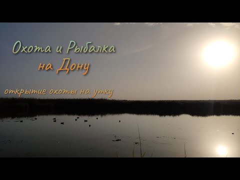 Видео: Охота с Сайгой 20с, открытие сезона на утку 2020
