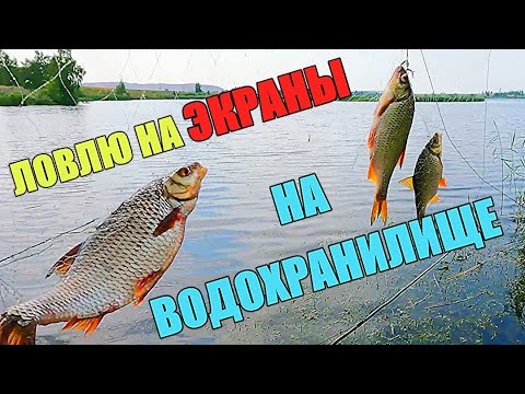 Видео: НАЛОВИЛ КРУПНЯКА!!! Первая рыбалка на экраны на водохранилище.