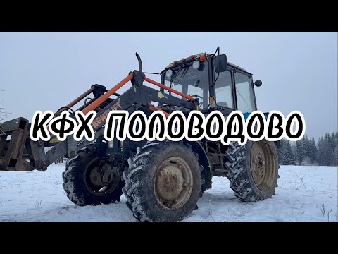 Видео: АГРОСТАРТАП И ВЫГОДНО ЛИ СЕЛЬСКОЕ ХОЗЯЙСТВО?