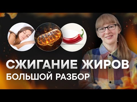 Видео: Ты сжигаешь жир НЕПРАВИЛЬНО. Почему диета не работает. УЗНАЙ ГЛАВНЫЕ СЕКРЕТЫ.