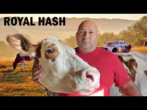 Видео: Хаш 12 часов на Костре и Костный Мозг с чесноком!