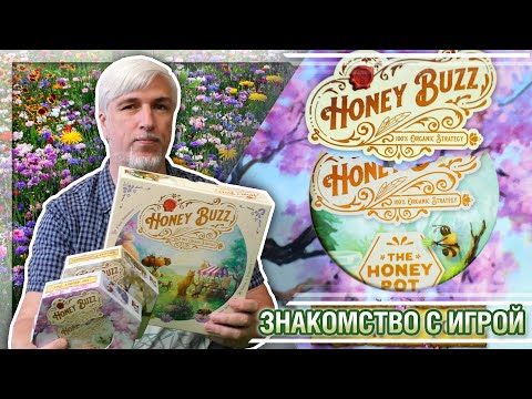 Видео: Знакомство с дополнением «HONEY BUZZ: HONEY POT»