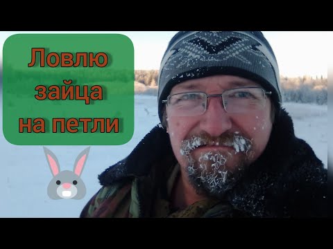 Видео: Ловлю зайца на петли.
