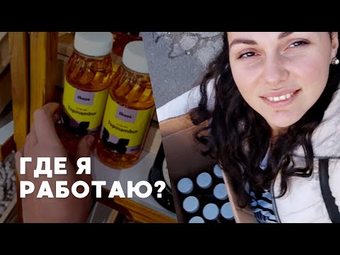 Видео: Рассказываю, где работаю| один рабочий день со мной
