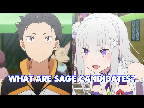Видео: Кто такие кандидаты в мудрецы? | Re: Zero Explained