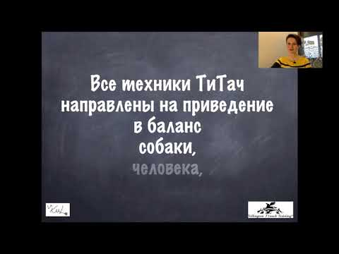 Видео: ТиТач: как быть лучшей версией себя