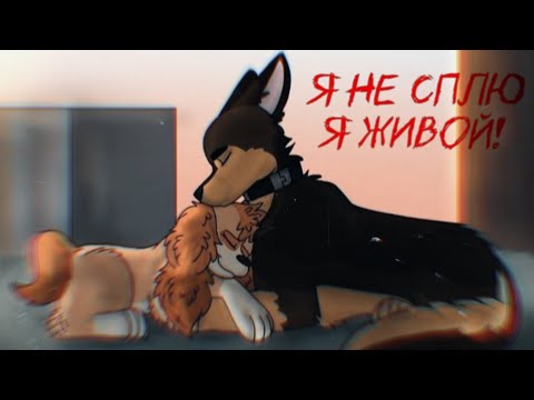 Видео: Гончик и Скай-Я не сплю, я живой! (заказ)