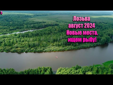 Видео: Лозьва август 2024/Новые места, ищем рыбу!