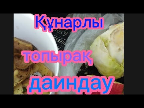 Видео: Құнарлы топырақ жасаимыз.#гулдер #өсімдік Гүлдер әлемі 🌺.