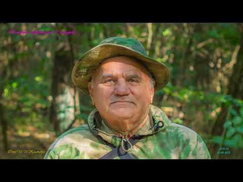 Видео: Окрестности Солигорска в сентябре 2025г S