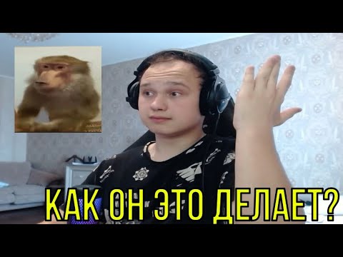 Видео: РЕАКЦИЯ НА: Кишлак - POPSA 2025